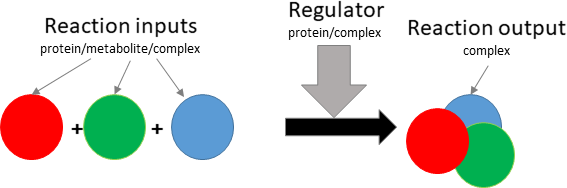 binding/oligomerisation reaction layout in biological schematic