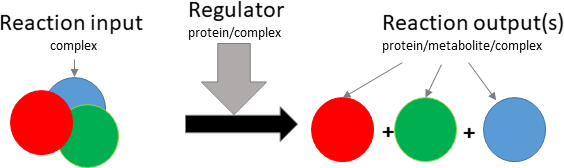 dissociation reaction layout in biological schematic