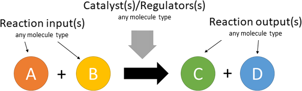 unknown reaction layout in biological schematic