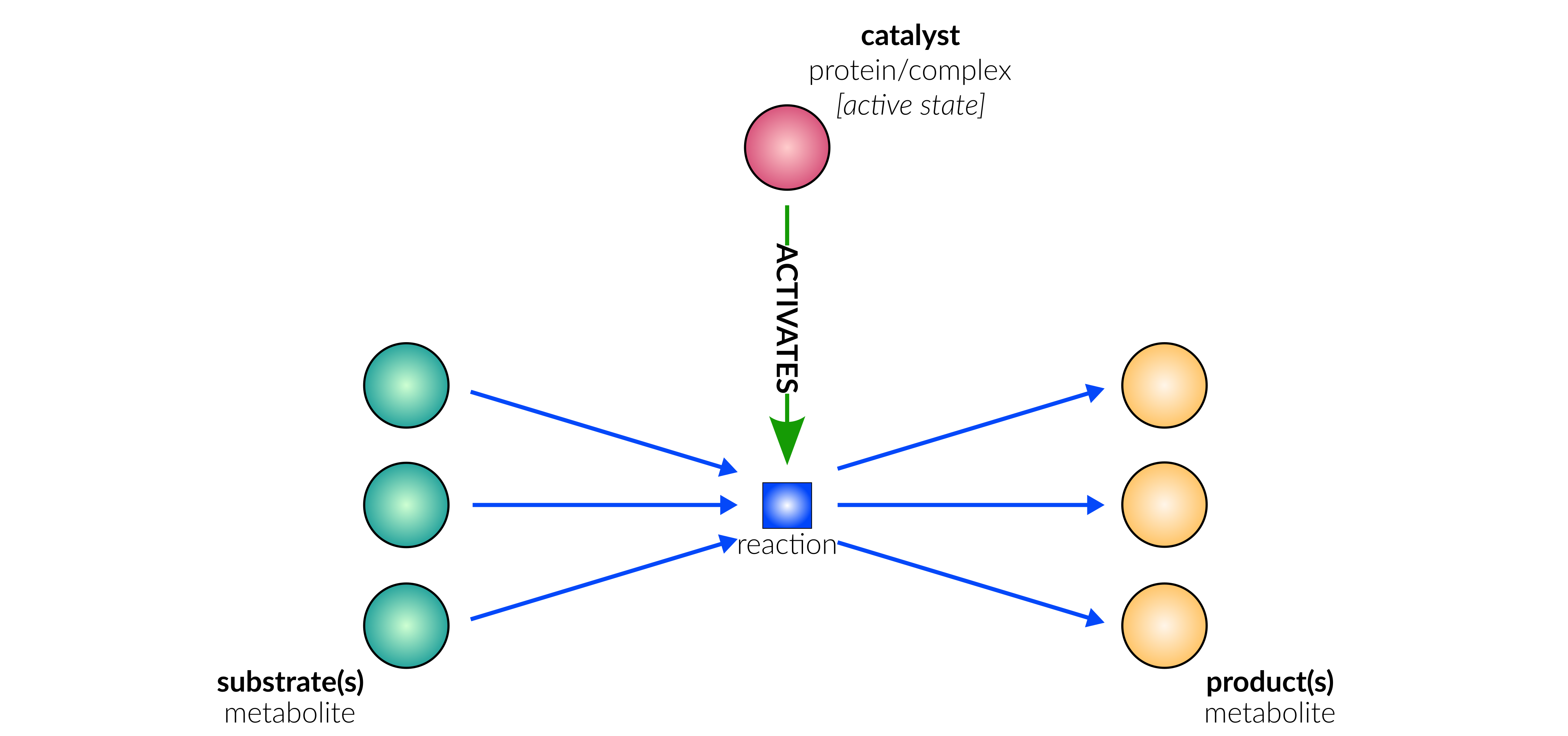 catalysis reaction layout in database schematic