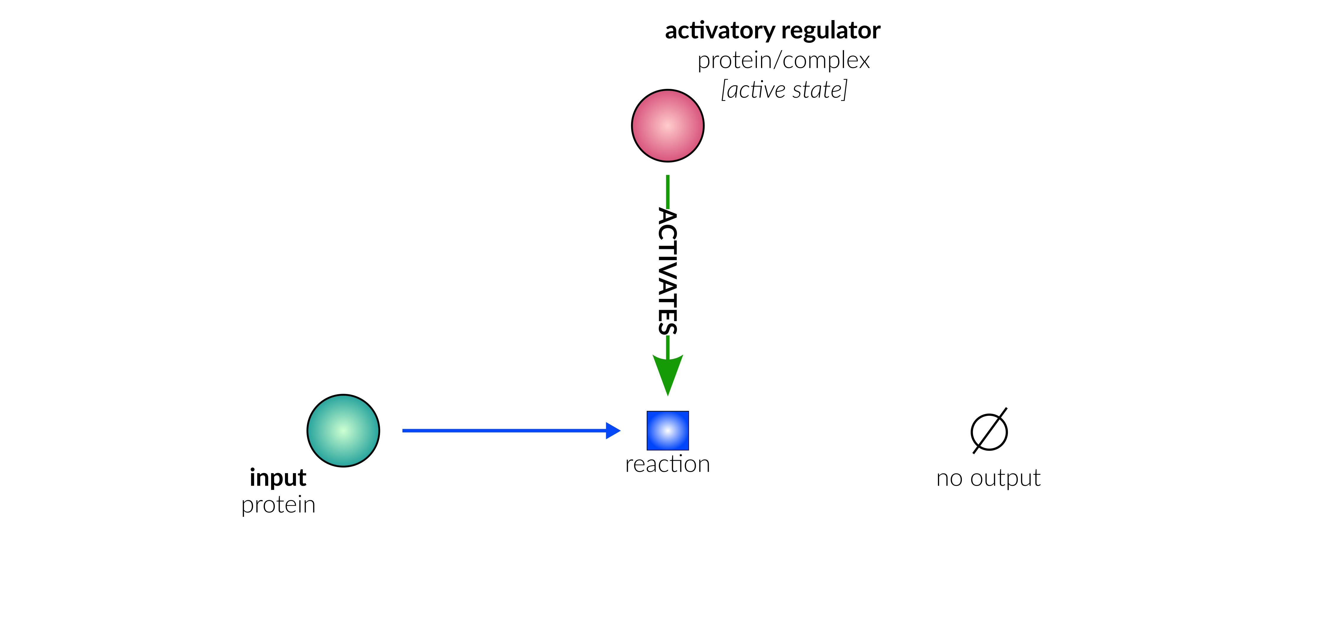 degradation/secretion reaction layout in database schematic