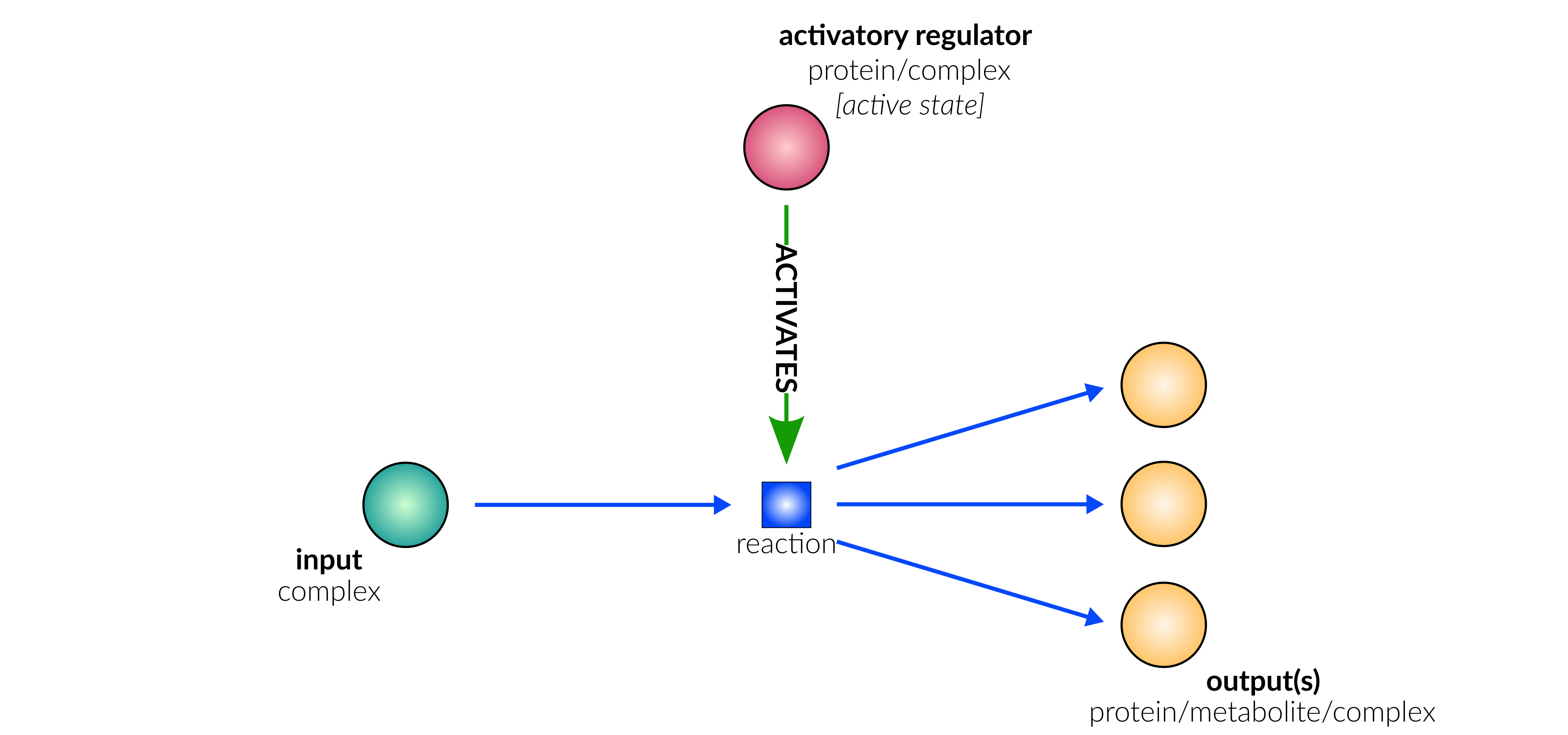 dissociation reaction layout in database schematic