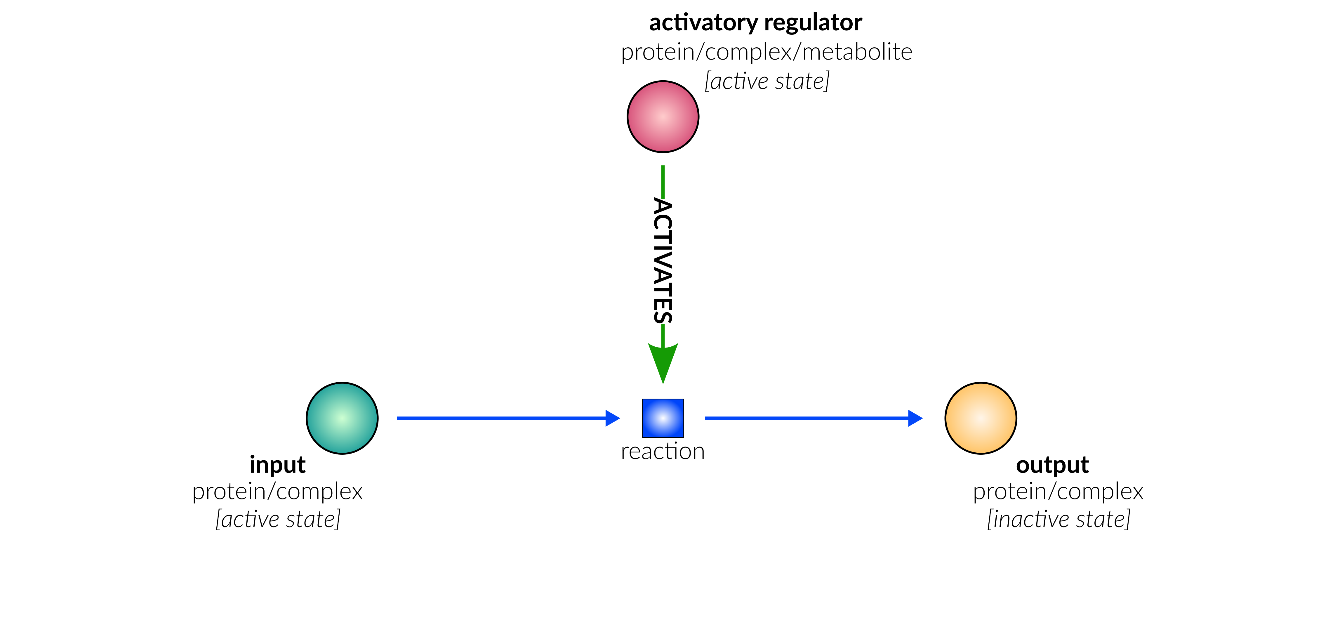 protein deactivation reaction layout in database schematic