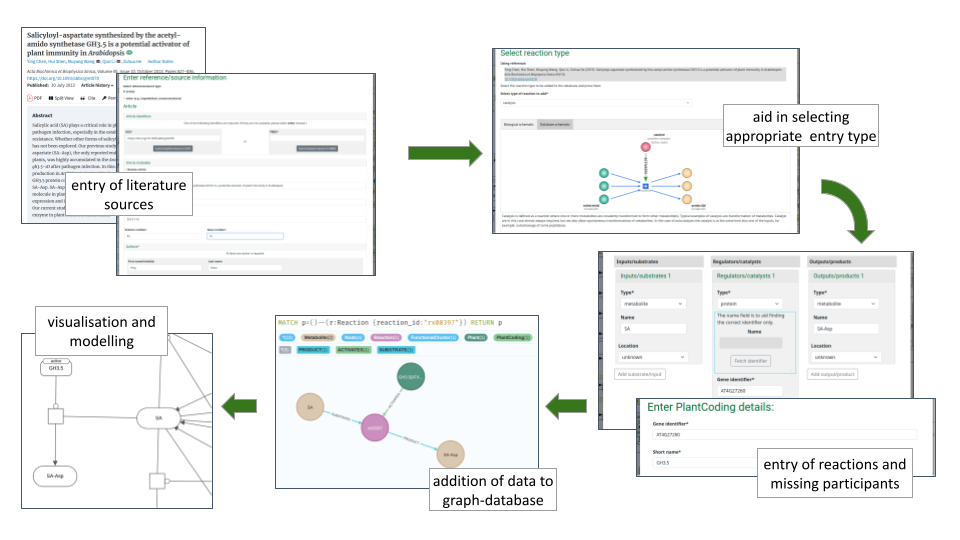 contribution workflow